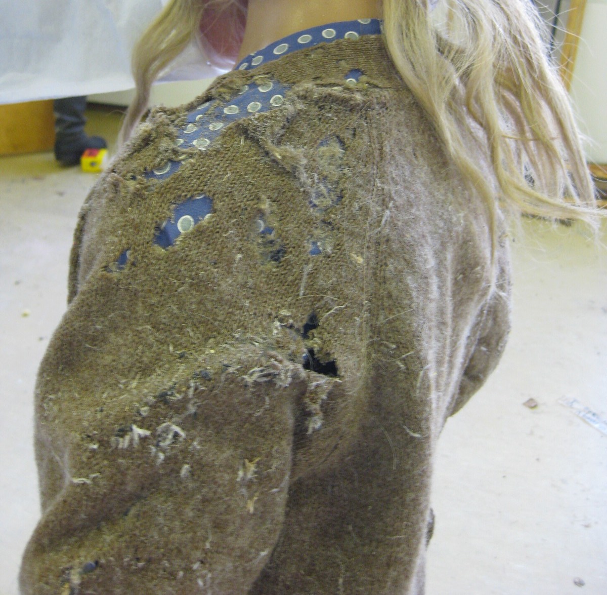 A wool jacket damaged by moths, showing holes and larval webs